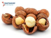 Hạt Mắc ca