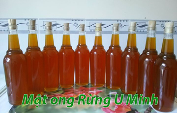 Mật ong Rừng U Minh Hạ Cà Mau