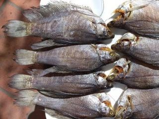 Cách làm khô cá sặc bổi ngon tại nhà