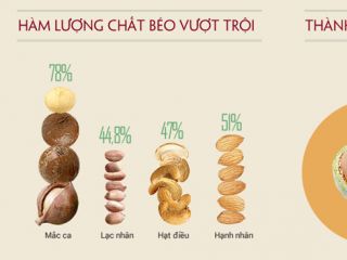 Công dụng tuyệt vời của hạt Mắc ca cho sức khỏe và làm đẹp
