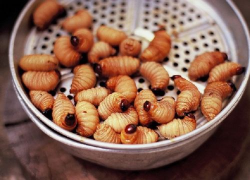 Top 6 loại đặc sản Bạc Liêu làm quà ngon khó cưỡng