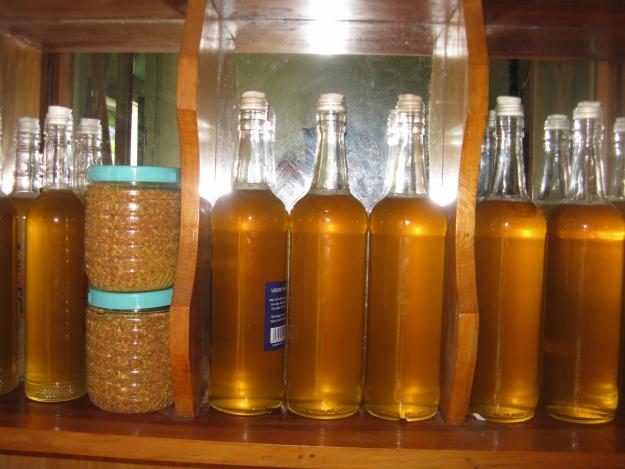 mật ong rừng nguyên chất - đặc sản Cà Mau