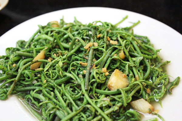 đọt choại