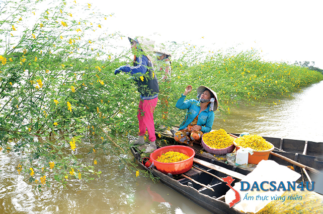 Đặc sản miền tây mùa nước nổi nước lũ