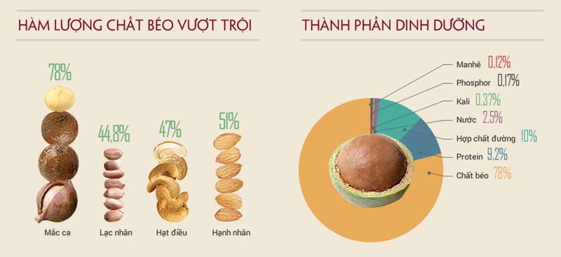 Thành phần và giá trị dinh dưỡng của hạt mắc ca