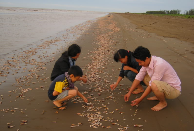 Biển Cồn Bửng