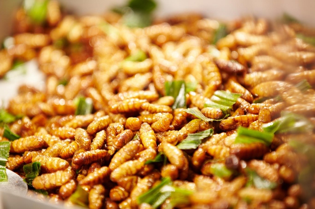Nhộng ong sau khi chế biến